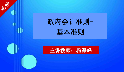 政府会计准则—基本准则